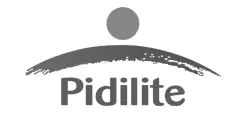 Pidilite